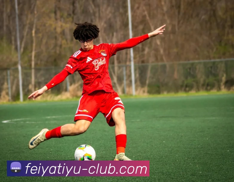 飞亚体育俱乐部服务体系